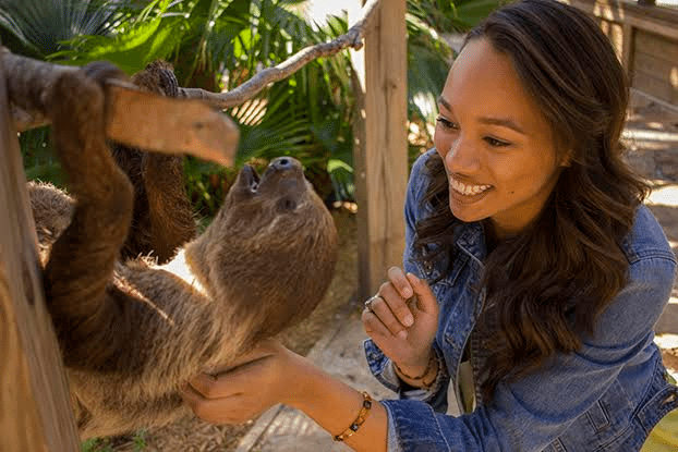 ANIMAL ENCOUNTER BY WF Orlando - vacaystore.com