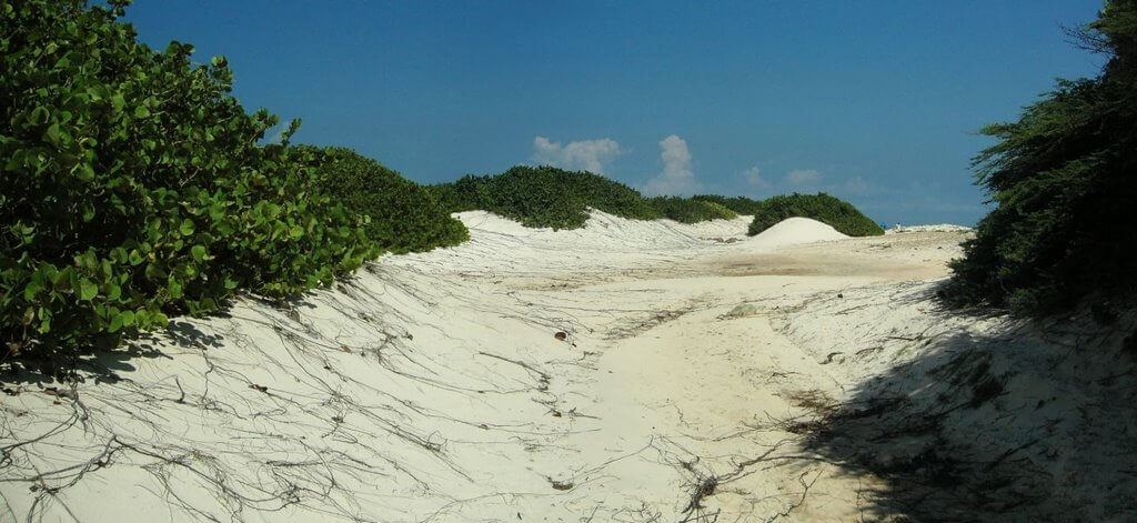 MORNING SAFARI NATIONAL PARK TOUR BY CROSS ARUBA - vacaystore.com